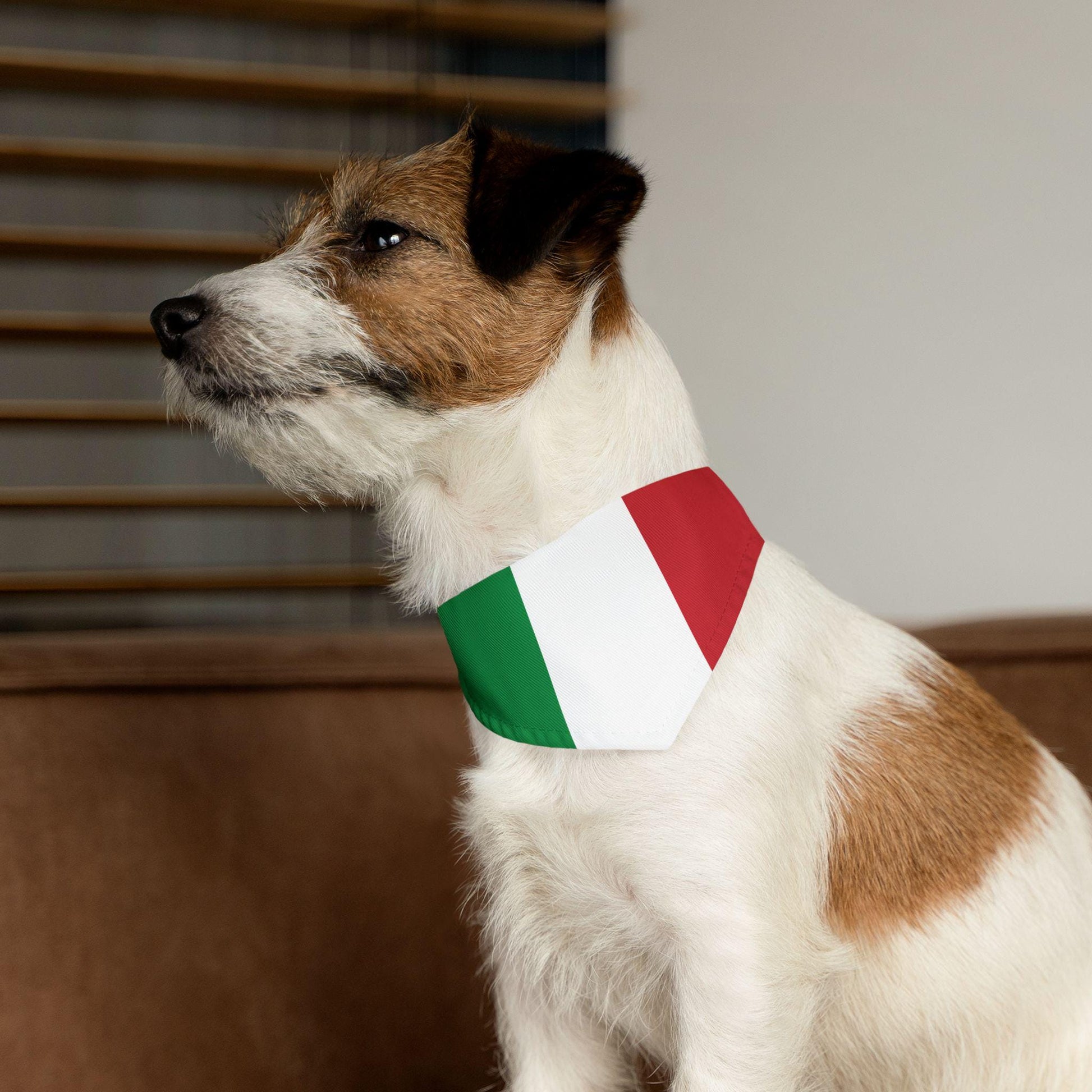 Italian Flag Personalized Dog Bandana, Italian Flag, Pet Bandana, Dog Collar, dog lover gift, Cat Italian Bandana, Italy Pet Neckware