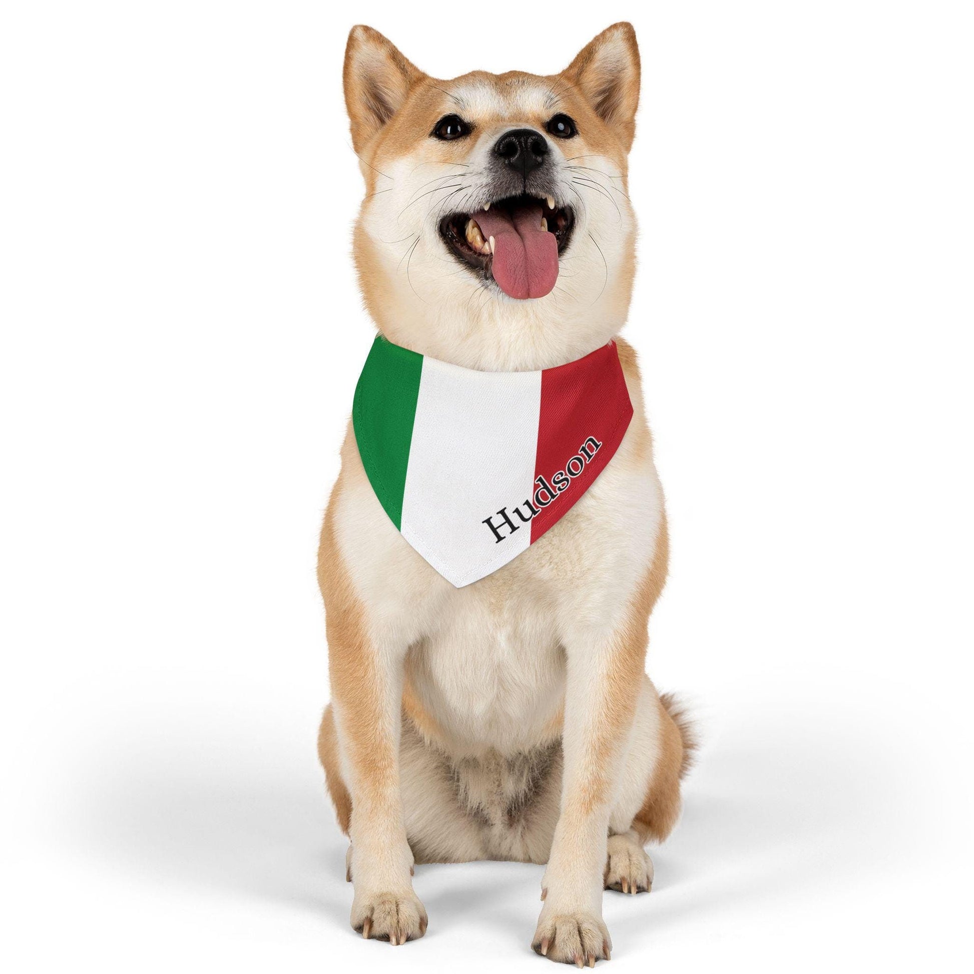 Italian Flag Personalized Dog Bandana, Italian Flag, Pet Bandana, Dog Collar, dog lover gift, Cat Italian Bandana, Italy Pet Neckware