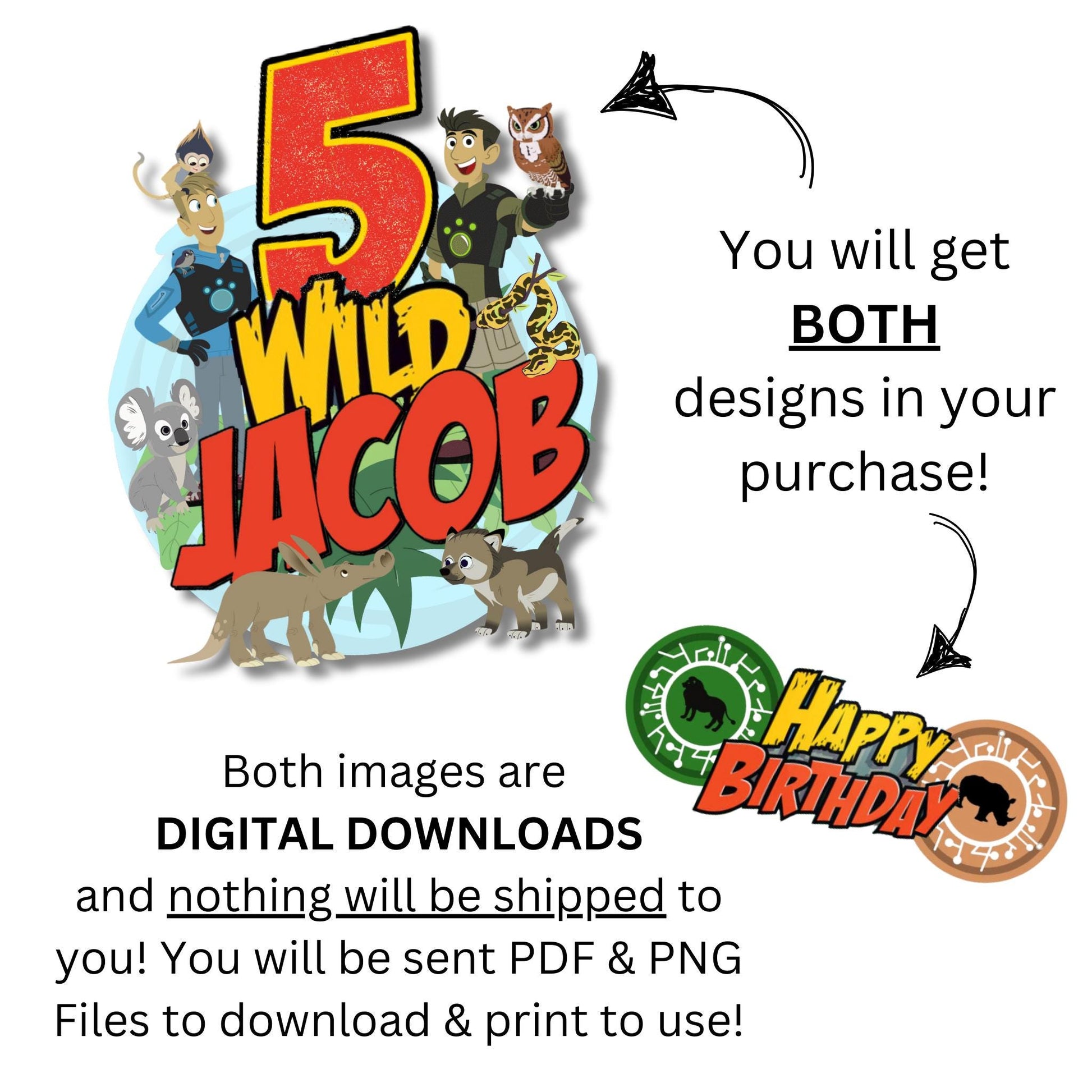 Personalized Printable Wild Kratts Cake Topper, Wild Kratts Party Decoration