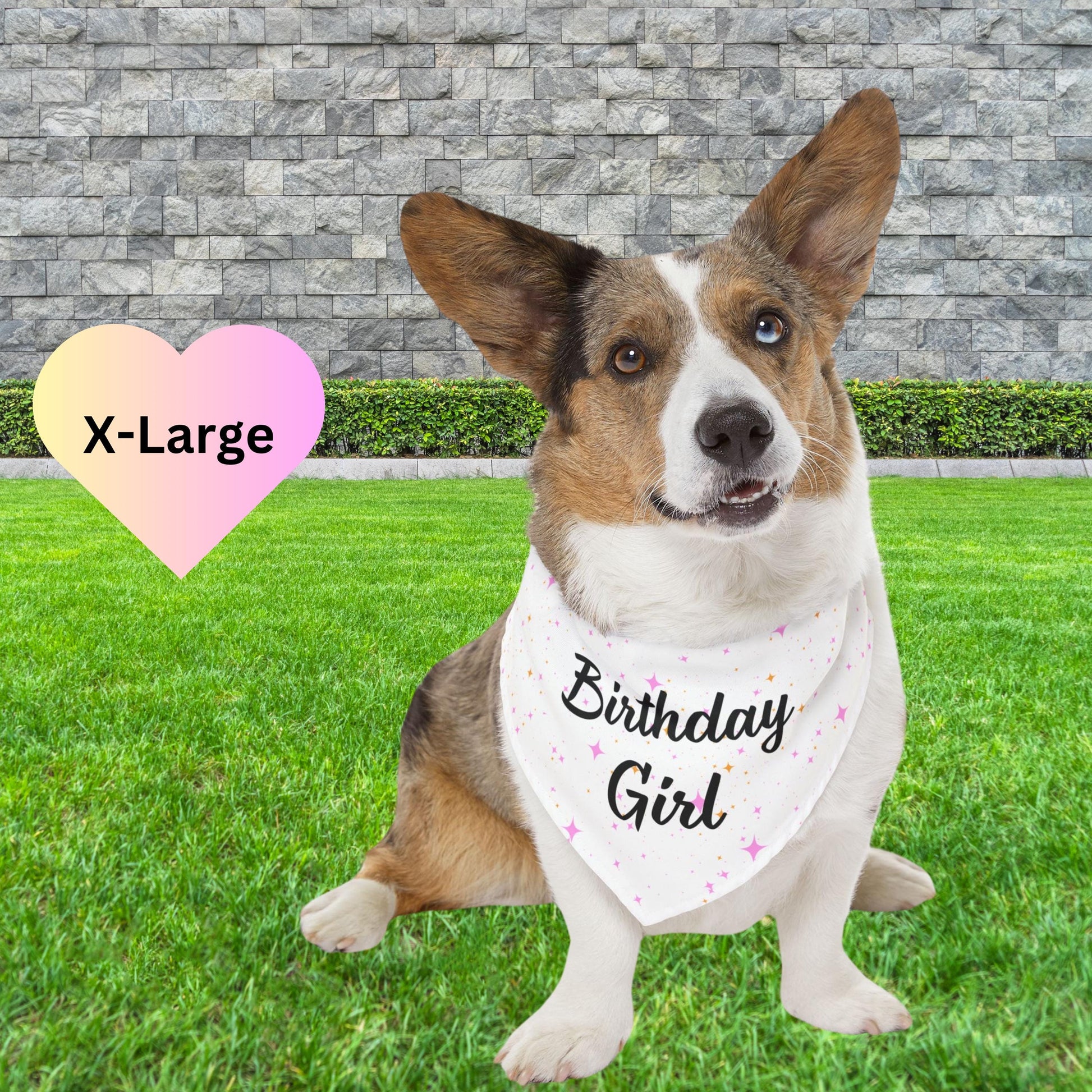 Birthday Girl Pink Sparkle Dog Bandana,1st birthday, puppy birthday bandana, dog party, birthday girl, Snap on Dog Bandana, Birthday Decor