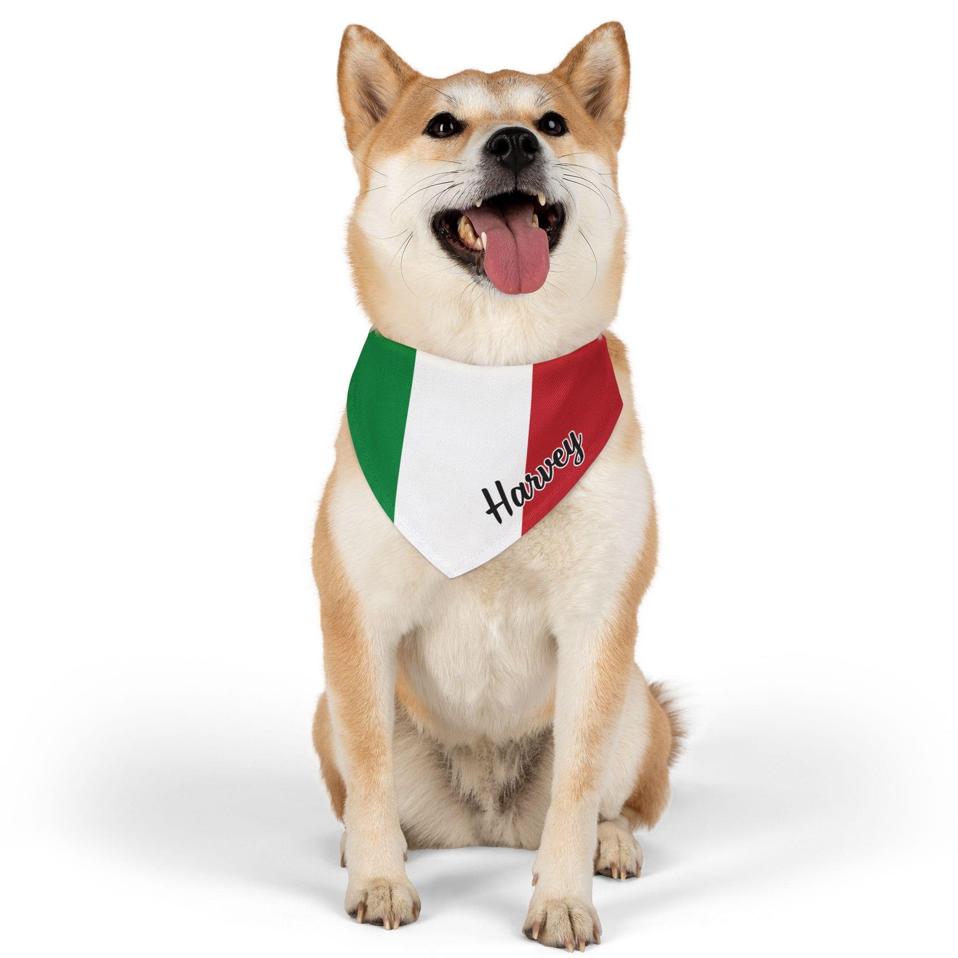 Italian Flag Personalized Dog Bandana, Italian Flag, Pet Bandana, Dog Collar, dog lover gift, Cat Italian Bandana, Italy Pet Neckware