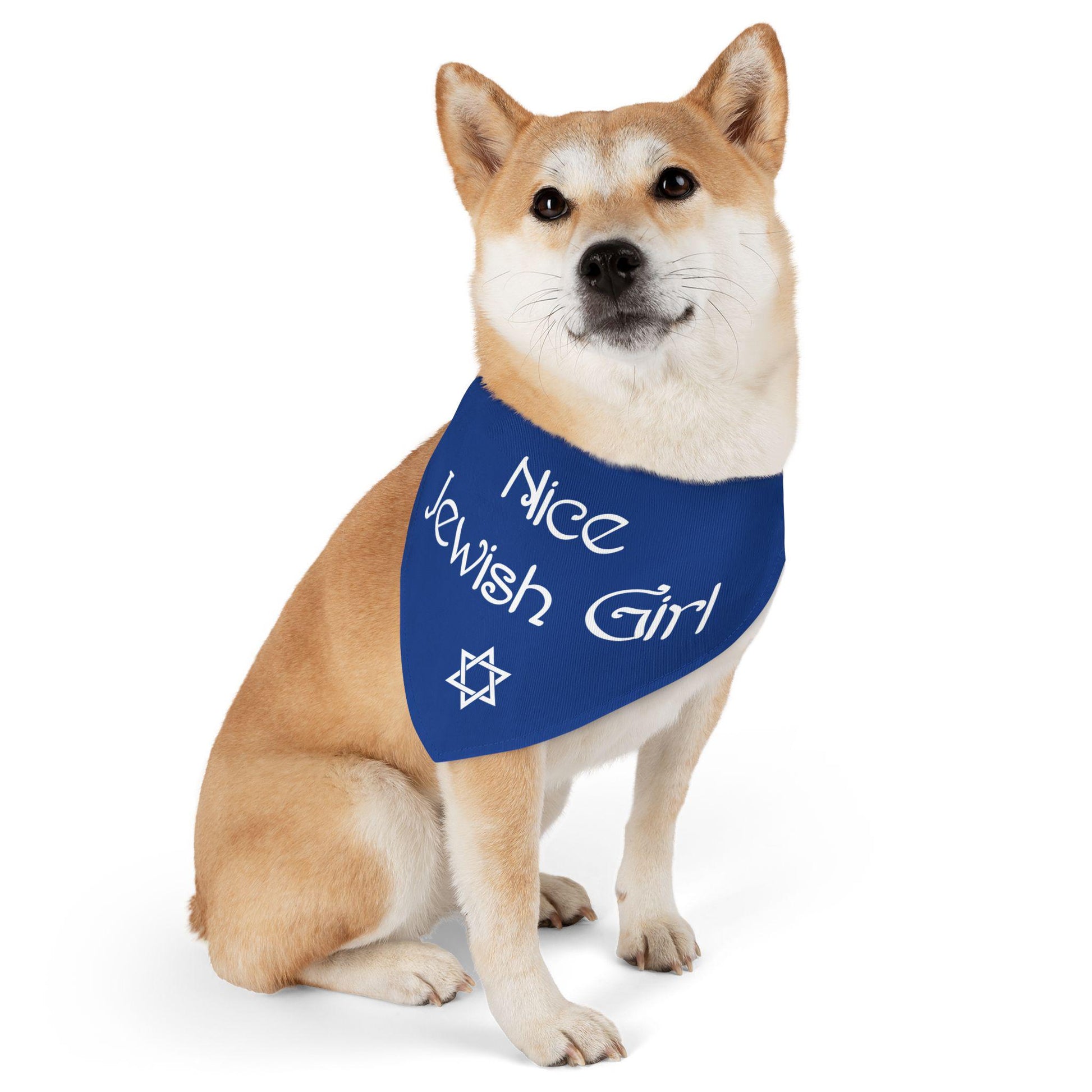Nice Jewish Boy Pet Bandana, Nice Jewish Girl Pet Bandana, Jewish Dog Collar Bandana, Hanukkah Dog and Cat Gift, Nice Jewish Dog Clip-on