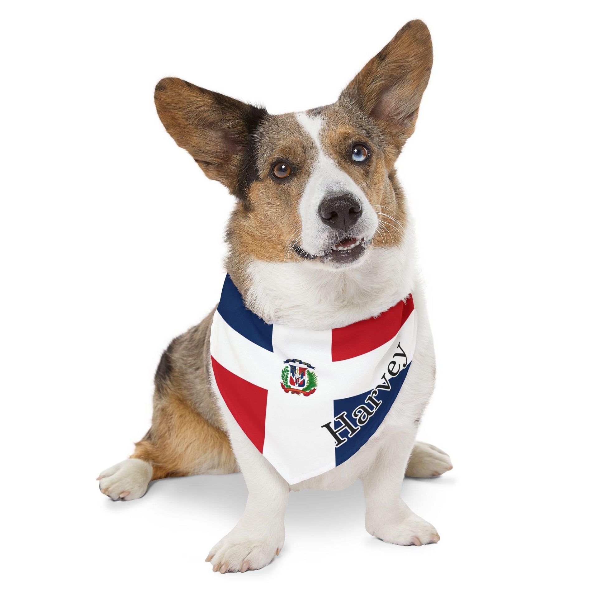 Dominican Flag Personalized Pet Bandana, Add Your Pet's Name, Pet Scarf, Dog Gift, Flag Bandana with Name, Dominican Republic Flag Bandana