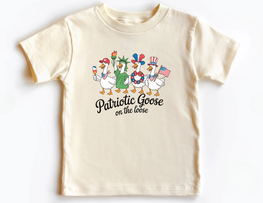 Fourth of July Goose T-shirt, American Baby Onesie, 4th of July Shirt, Tee, Patriotic Goose Kids Shirt, Patriotic Toddler Tee, USA Kids Tee