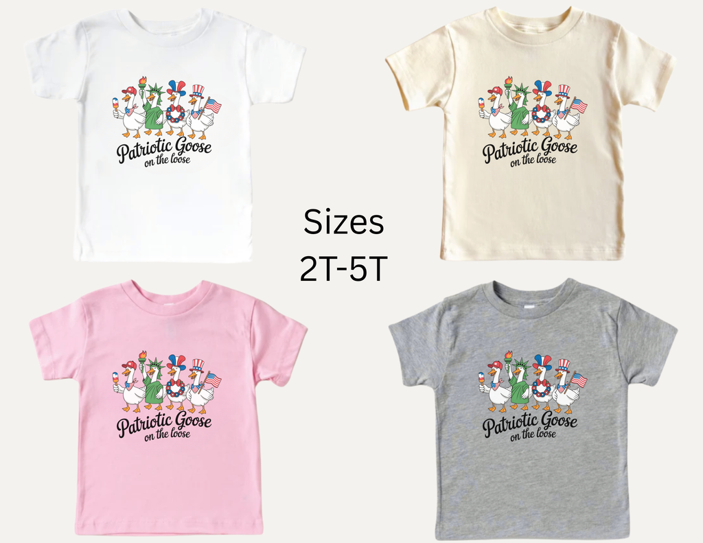 Fourth of July Goose T-shirt, American Baby Onesie, 4th of July Shirt, Tee, Patriotic Goose Kids Shirt, Patriotic Toddler Tee, USA Kids Tee