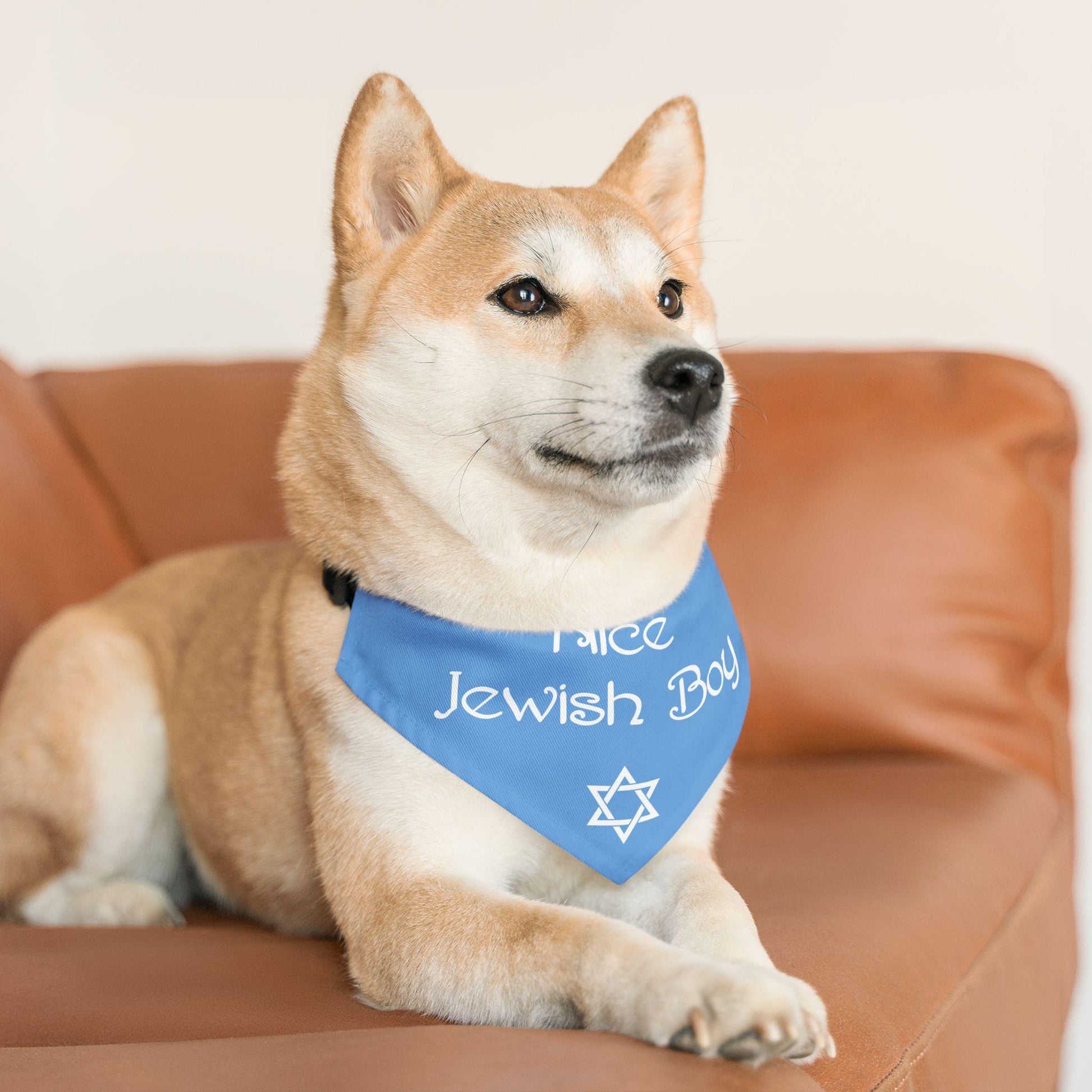 Nice Jewish Boy Pet Bandana, Nice Jewish Girl Pet Bandana, Jewish Dog Collar Bandana, Hanukkah Dog and Cat Gift, Nice Jewish Dog Clip-on