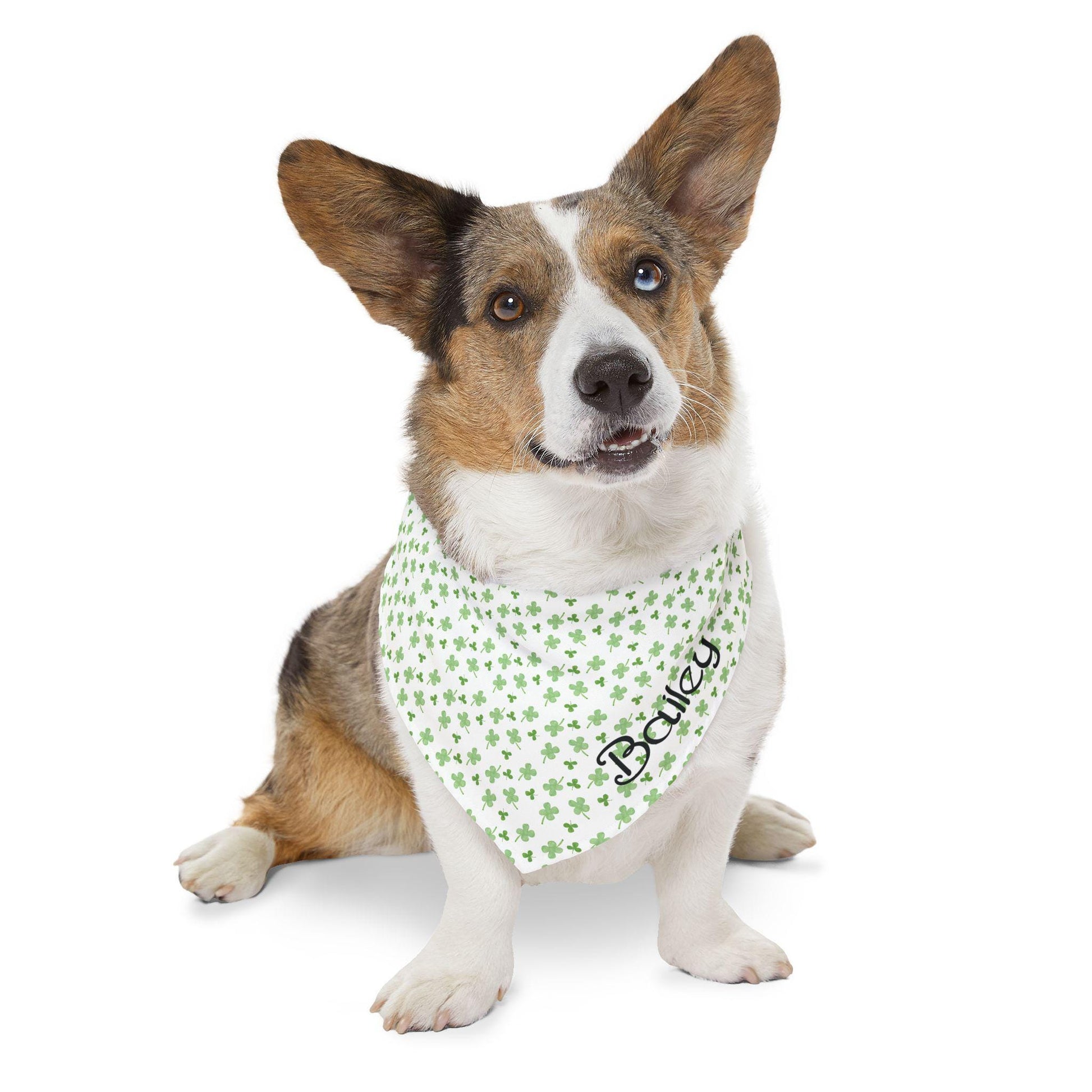 Personalized St Patrick's Day Dog Bandana, Shamrock Personalized Dog Bandana, Clover dog bandana, Irish dog bandana, custom dog gift, Green