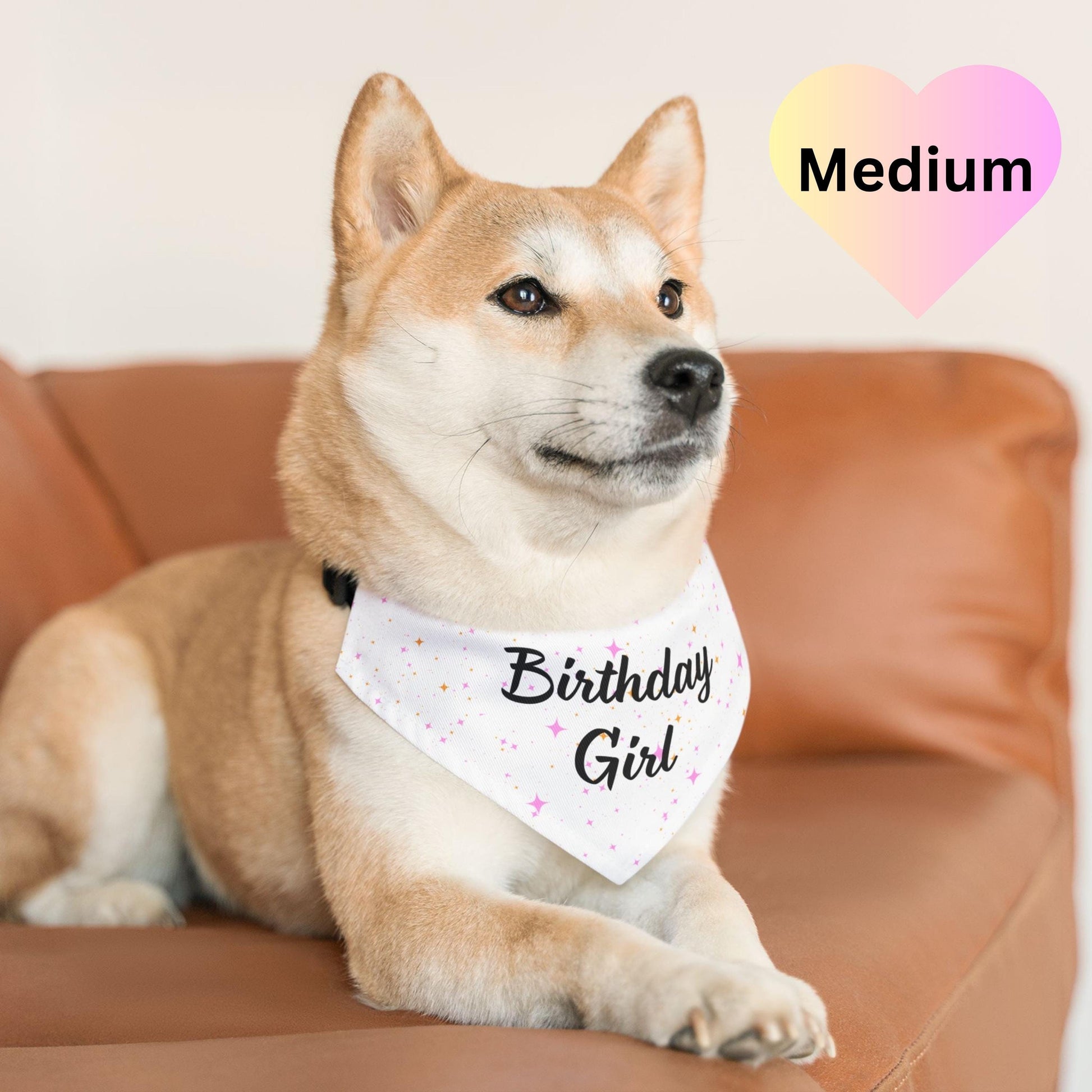 Birthday Girl Pink Sparkle Dog Bandana,1st birthday, puppy birthday bandana, dog party, birthday girl, Snap on Dog Bandana, Birthday Decor